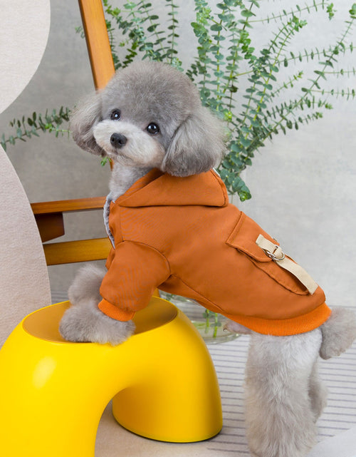 Load image into Gallery viewer, Pet clothes sweaters clothing for dogs teddy cats cool style two legged cotton clothes
