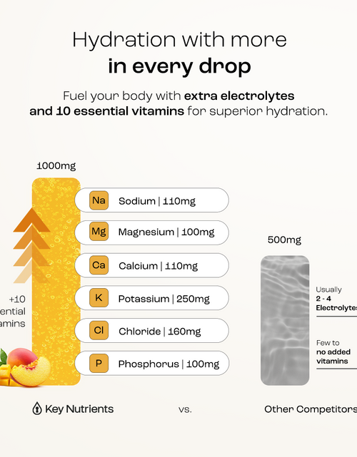 Load image into Gallery viewer, Electrolyte Recovery Plus Powder (Sugar-Free)

