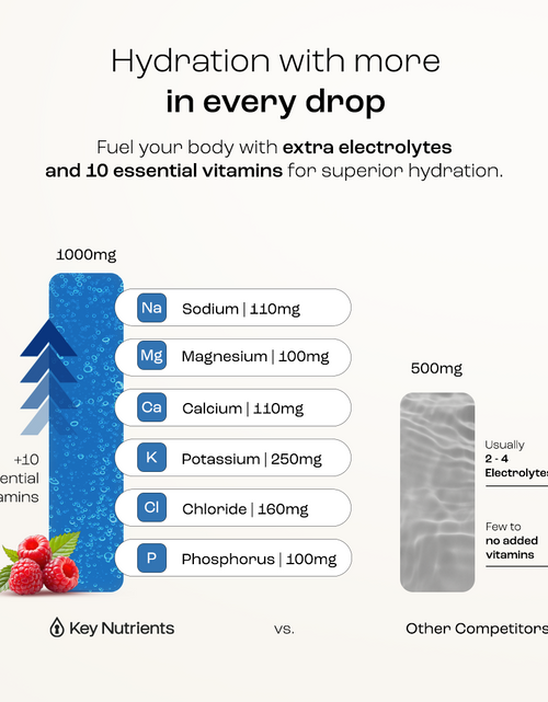 Load image into Gallery viewer, Electrolyte Recovery Plus Powder (Sugar-Free)
