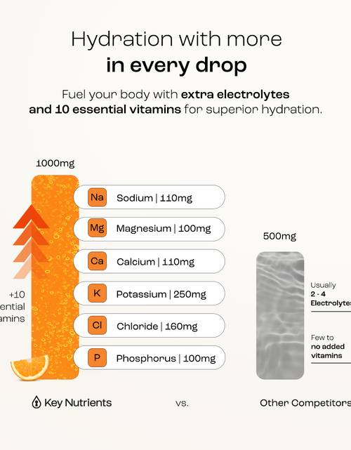 Load image into Gallery viewer, Electrolyte Recovery Plus Powder (Sugar-Free)
