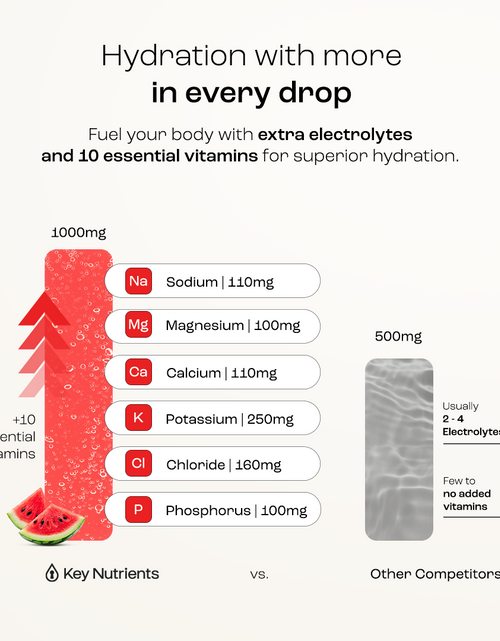 Load image into Gallery viewer, Electrolyte Recovery Plus Powder (Sugar-Free)
