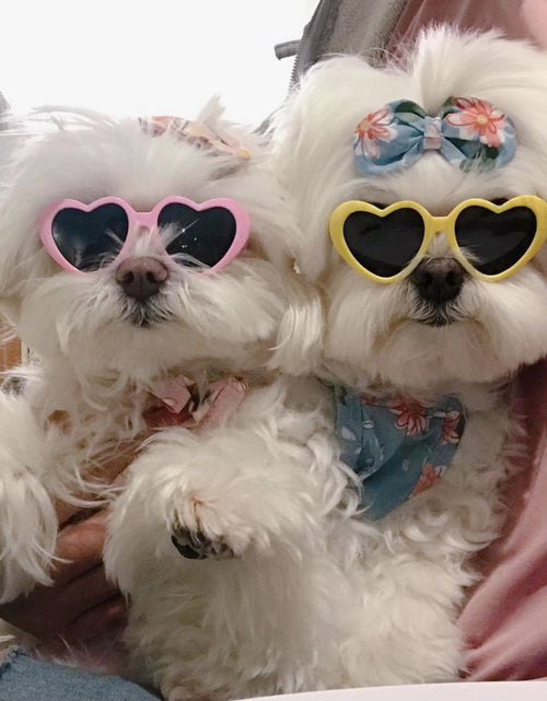 Load image into Gallery viewer, Creative Love Pet Dog Cat Creative Sunglasses Sun Glasses with Accessories Photo
