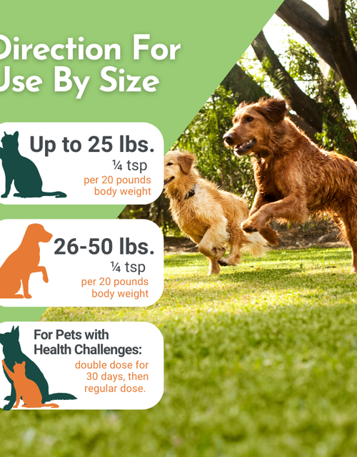 Load image into Gallery viewer, Holistic Total Body Support – Multivitamin &amp; Glandular Support for Dogs and Cats
