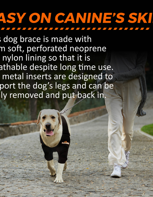 Load image into Gallery viewer, NeoAlly Elbow and Shoulder Brace with Spring Inserts for Dogs and Cats - Enhance Pet Mobility with Optimal Support
