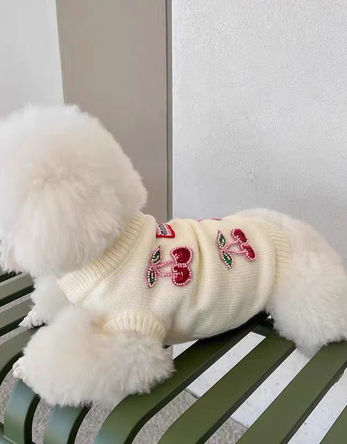 Load image into Gallery viewer, Teddy/Bichon/Maltese Winter Warm Sweater - Cute Fruit-Print Knit
