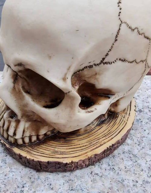 Load image into Gallery viewer, Decorative Halloween sculptures flower pots mummies creative crafts meditation skeletons
