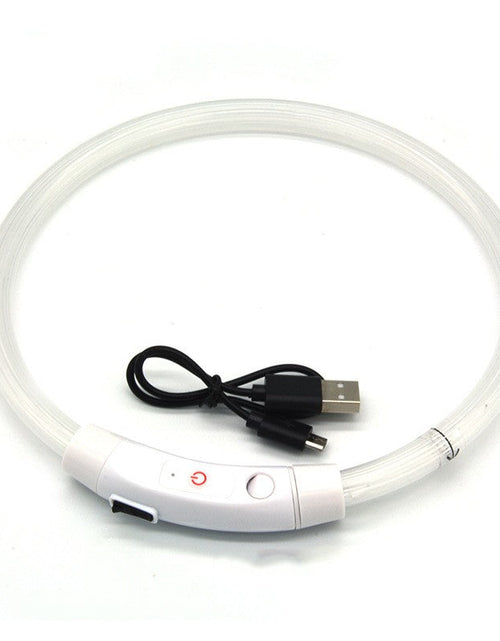 Load image into Gallery viewer, Dog luminous collar luminous pet collar USB charging neck ring LED luminous dog collar

