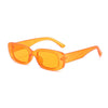 Orange frame and orange slice