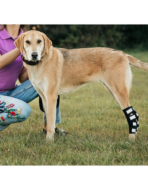 Load image into Gallery viewer, NeoAlly 3-in-1 Long Rear Leg Hock Brace - Rigid and Spring Inserts | Safety Reflective Straps [Long Version] (Pair)
