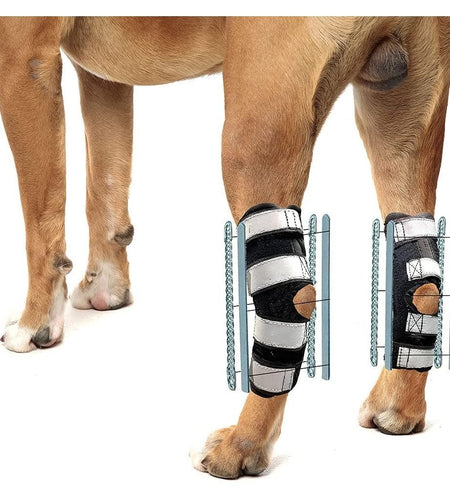 NeoAlly 3-in-1 Long Rear Leg Hock Brace - Rigid and Spring Inserts | Safety Reflective Straps [Long Version] (Pair)