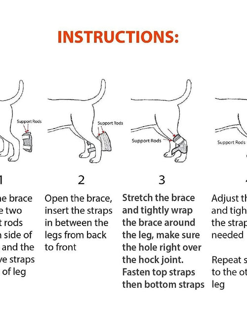 Load image into Gallery viewer, NeoAlly 3-in-1 Short Rear Leg Hock Brace for Smaller Dogs with Rigid and Spring Inserts | Safety Reflective Straps [Short Version] (Pair)
