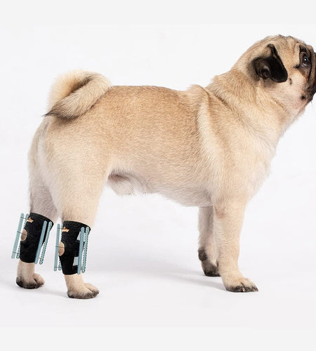 NeoAlly 3-in-1 Short Rear Leg Hock Brace for Smaller Dogs with Rigid and Spring Inserts | Safety Reflective Straps [Short Version] (Pair)