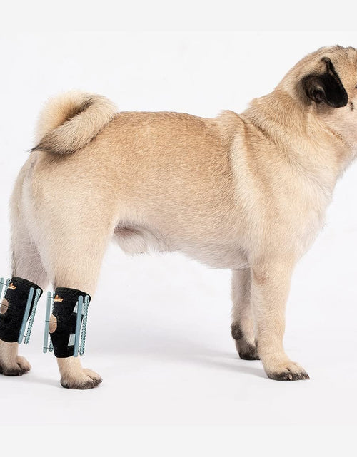 Load image into Gallery viewer, NeoAlly 3-in-1 Short Rear Leg Hock Brace for Smaller Dogs with Rigid and Spring Inserts | Safety Reflective Straps [Short Version] (Pair)
