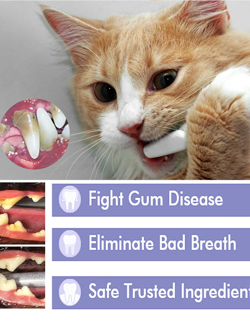 Load image into Gallery viewer, Pet Mouth Cleaning Cream, Cats And Dogs Clean Bad Breath Tartar Stains White Teeth Cream
