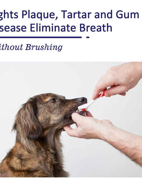 Load image into Gallery viewer, Pet Mouth Cleaning Cream, Cats And Dogs Clean Bad Breath Tartar Stains White Teeth Cream
