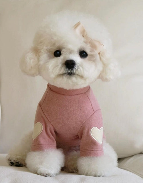 Load image into Gallery viewer, Teddy Bear York Sharberd Velvet Hoodie Pet Love Embroidery Warm Clothes
