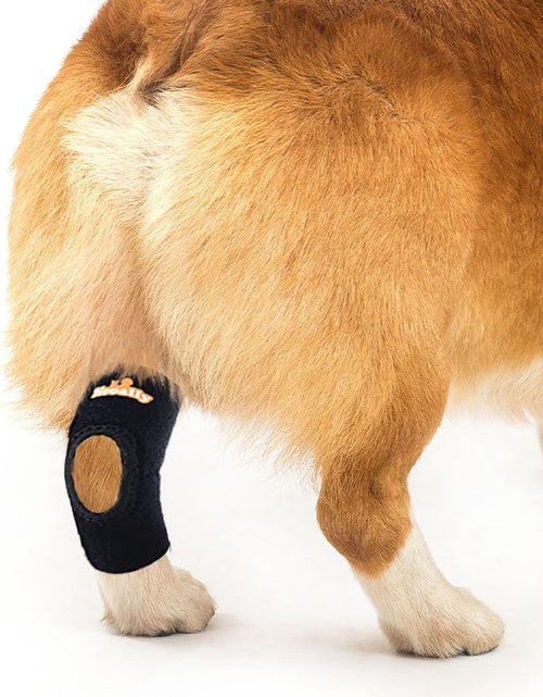 Load image into Gallery viewer, NeoAlly Dog Rear Leg Hock Brace with Safety Reflective Straps for Small Dogs [Short Version]
