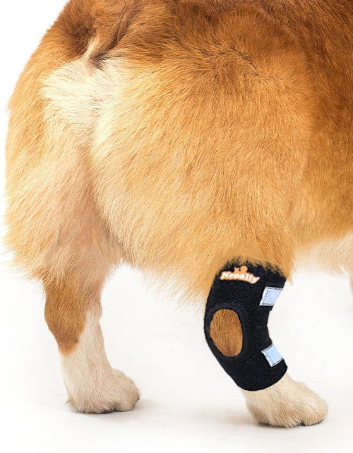 Load image into Gallery viewer, NeoAlly Dog Rear Leg Hock Brace with Safety Reflective Straps for Small Dogs [Short Version]
