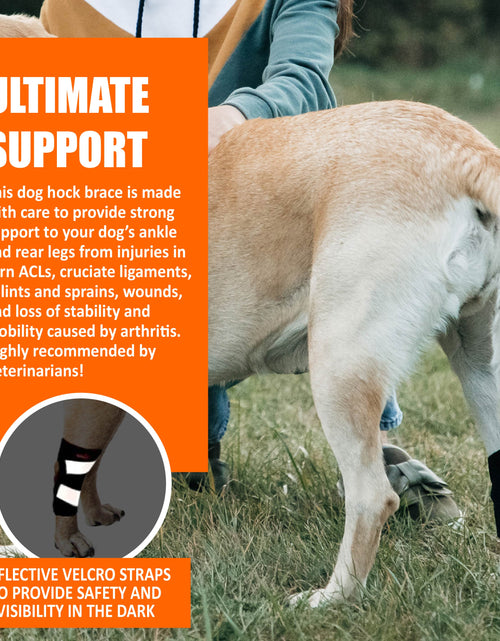 Load image into Gallery viewer, NeoAlly Dog Rear Leg Hock Brace with Safety Reflective Straps for Small Dogs [Short Version]
