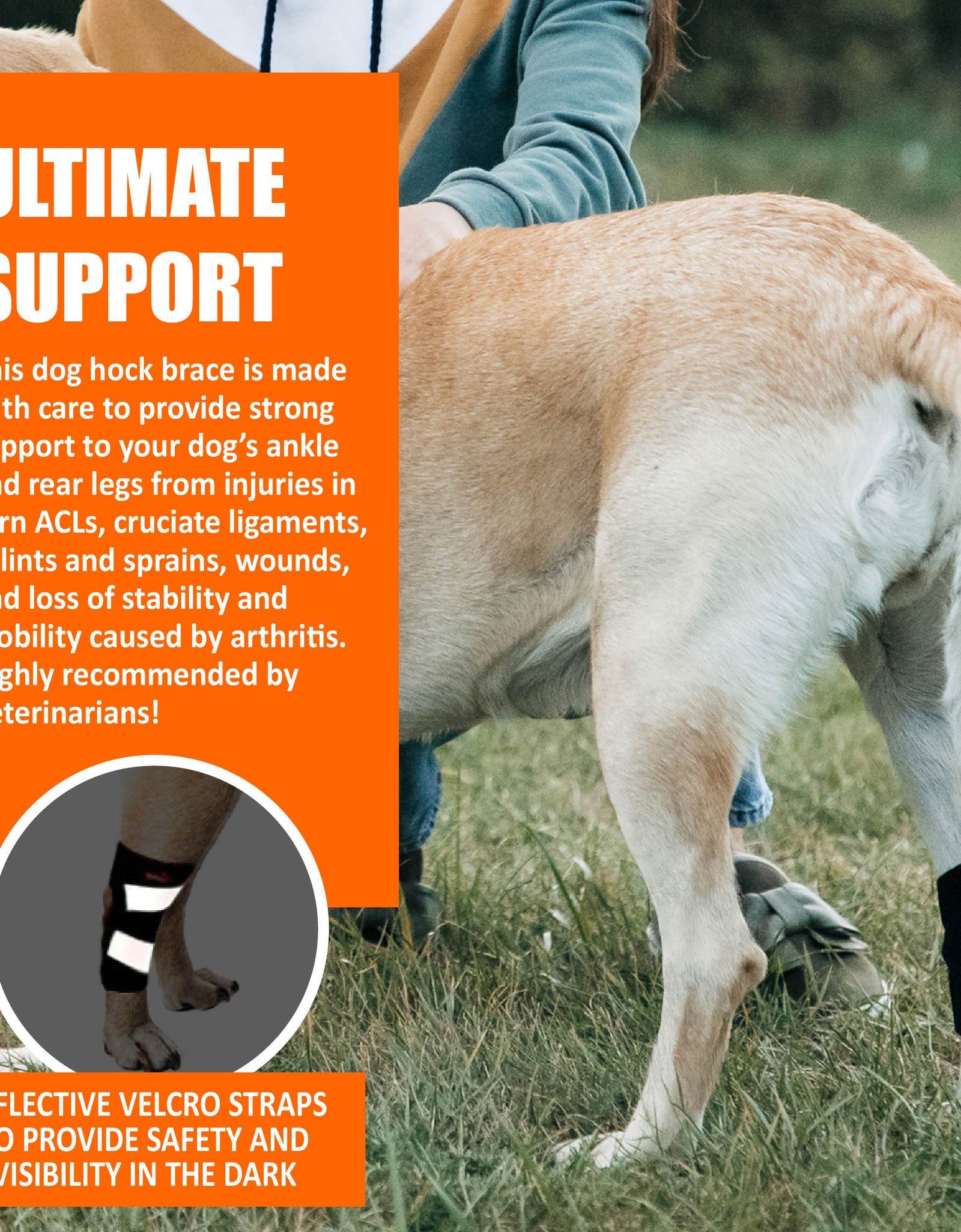 NeoAlly Dog Rear Leg Hock Brace with Safety Reflective Straps for Small Dogs [Short Version]