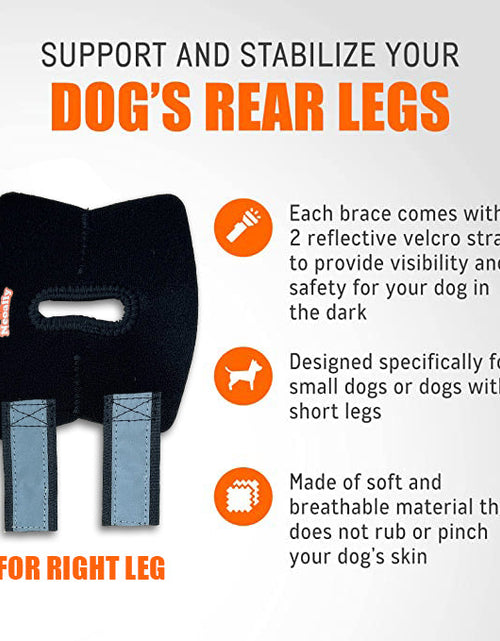 Load image into Gallery viewer, NeoAlly Dog Rear Leg Hock Brace with Safety Reflective Straps for Small Dogs [Short Version]

