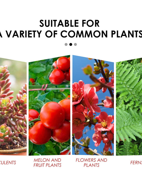 Load image into Gallery viewer, Plant Growth Nutrition Sustained-Release Tablet, Fruit And Vegetable Plant Pot Root Growth Universal Nutrition Tablet
