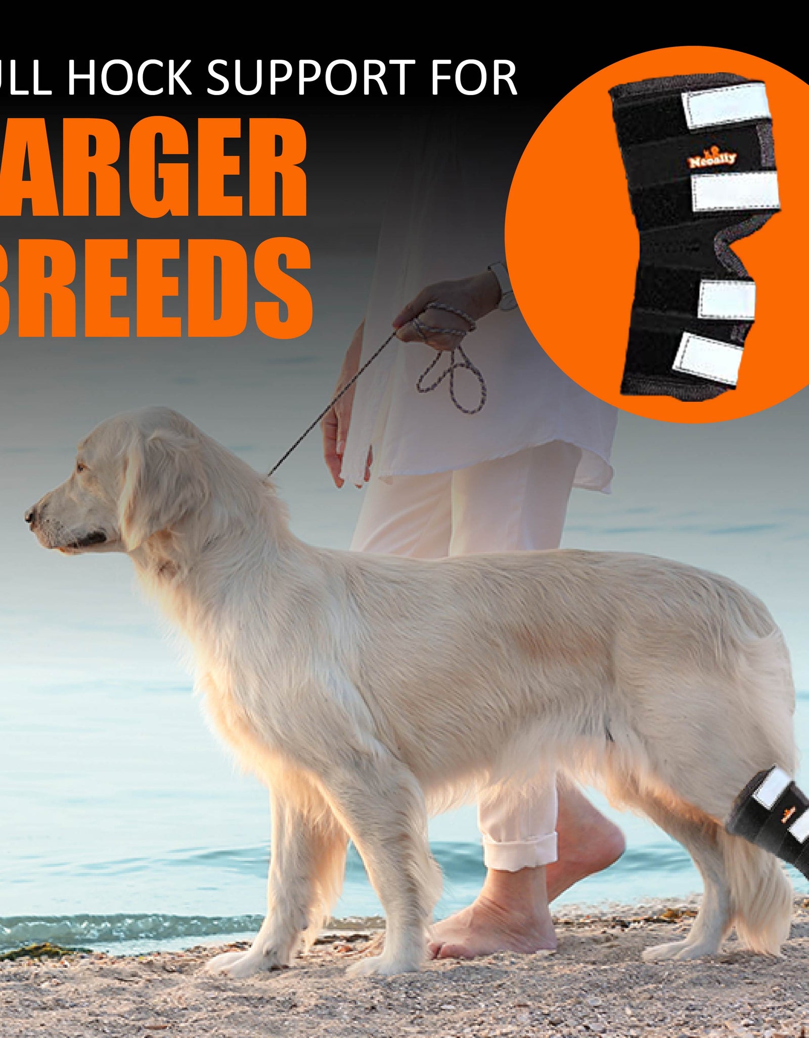 NeoAlly Dog Rear Leg Hock Brace with Safety Reflective Straps for Large Dogs [Long Version]