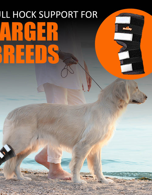 Load image into Gallery viewer, NeoAlly Dog Rear Leg Hock Brace with Safety Reflective Straps for Large Dogs [Long Version]
