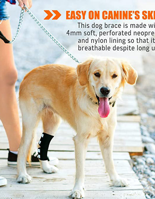 Load image into Gallery viewer, NeoAlly Dog Rear Leg Hock Brace with Safety Reflective Straps for Large Dogs [Long Version]
