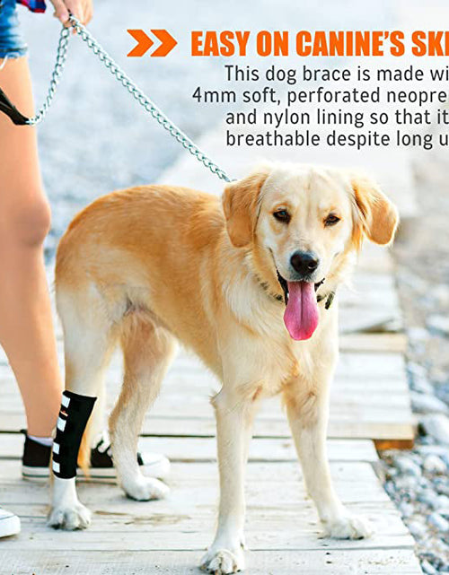 Load image into Gallery viewer, NeoAlly Dog Rear Leg Hock Brace with Safety Reflective Straps for Large Dogs [Long Version]
