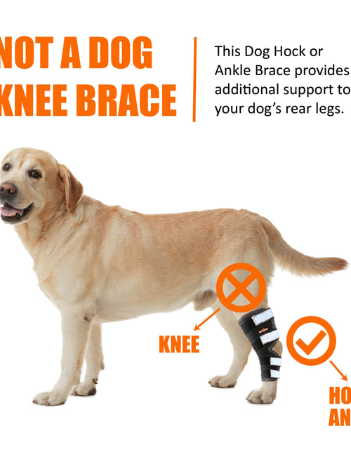 Load image into Gallery viewer, NeoAlly Dog Rear Leg Hock Brace with Safety Reflective Straps for Large Dogs [Long Version]
