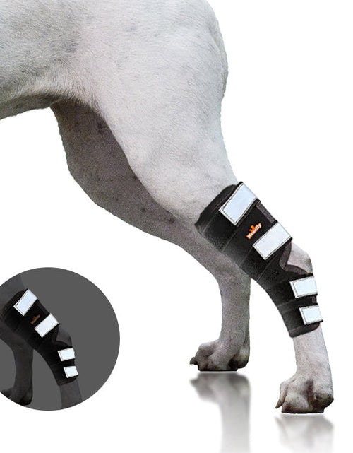 Load image into Gallery viewer, NeoAlly Dog Rear Leg Hock Brace with Safety Reflective Straps for Large Dogs [Long Version]
