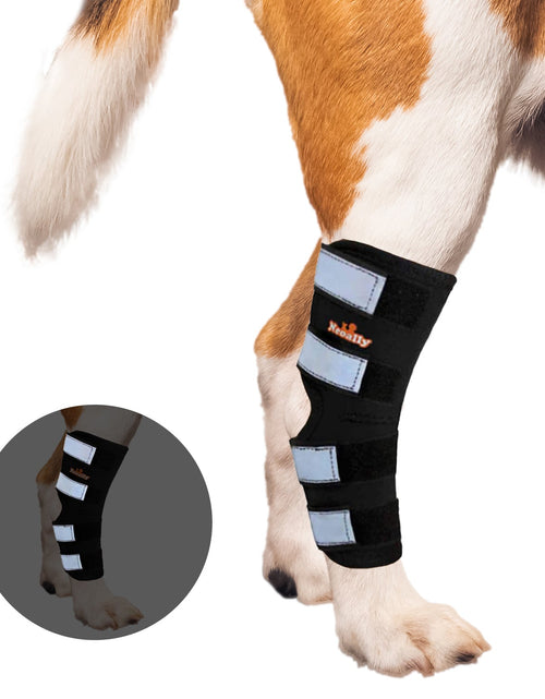 Load image into Gallery viewer, NeoAlly Dog Rear Leg Hock Brace with Safety Reflective Straps for Large Dogs [Long Version]
