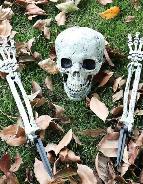 Load image into Gallery viewer, Halloween Skeleton Stakes: Realistic Skull, Head, Hands/Arms – For Party, Home, Garden, Lawn
