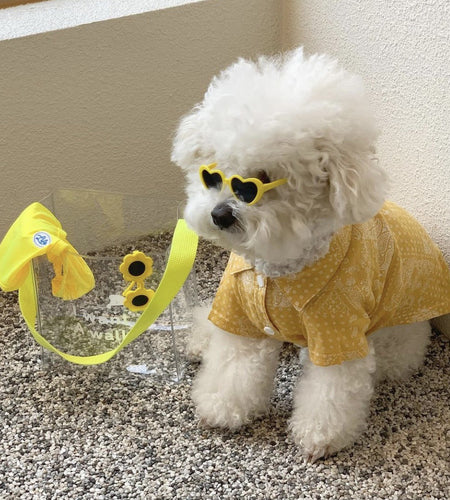 Creative Love Pet Dog Cat Creative Sunglasses Sun Glasses with Accessories Photo
