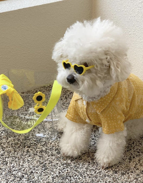 Load image into Gallery viewer, Creative Love Pet Dog Cat Creative Sunglasses Sun Glasses with Accessories Photo
