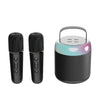 2microphone black