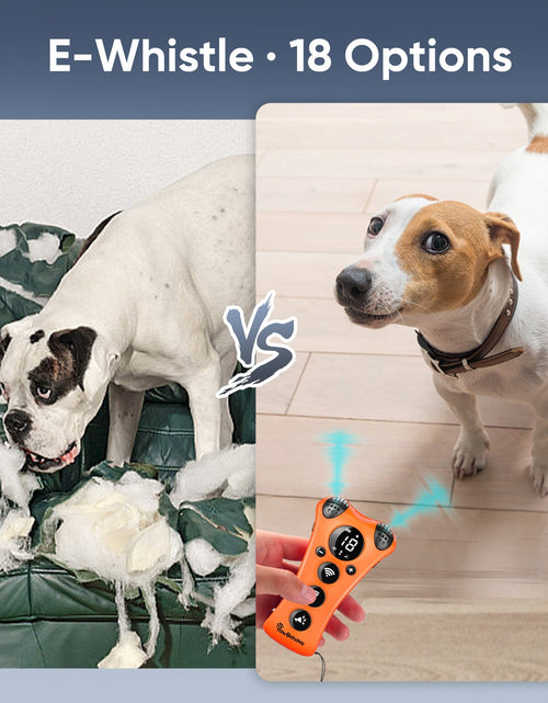 Load image into Gallery viewer, PawBehave Adjustable Ultrasonic Dog Trainer – World's First Variable Frequency Pet Behavior Corrector
