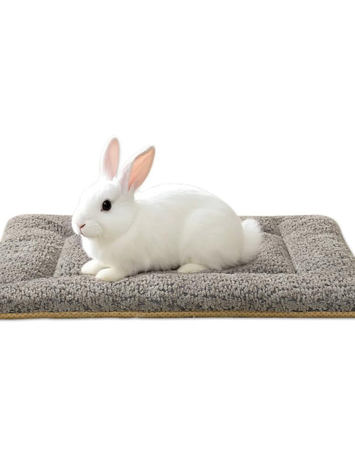 Load image into Gallery viewer, SOMAHE 3D Snow Fleece Small Animal Bed Grey 10x13.7x1 Inch

