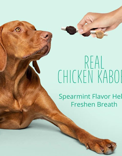 Load image into Gallery viewer, BestBy12/25 Better Belly Dental Kabobs Dog Chews Spearmint 10 Count
