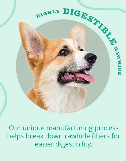 Load image into Gallery viewer, BestBy12/25 Better Belly Dental Kabobs Dog Chews Spearmint 10 Count

