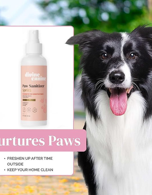 Load image into Gallery viewer, Dog Paw Cleaner Spray 5.1oz Alcohol Free Rosewater Aloe Copaiba Lemongrass USA
