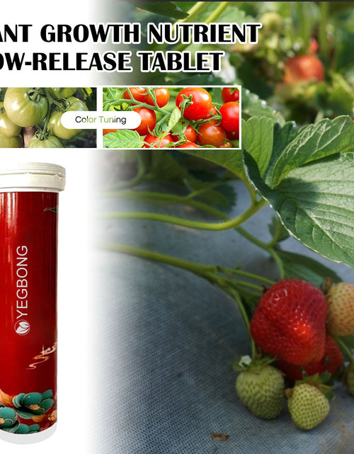 Load image into Gallery viewer, Plant Growth Nutrition Sustained-Release Tablet, Fruit And Vegetable Plant Pot Root Growth Universal Nutrition Tablet
