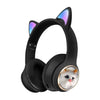 AKZ 09 Simulation Cat Black