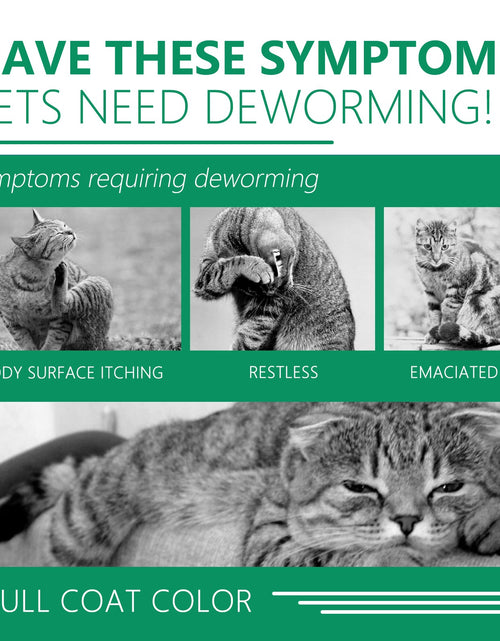 Load image into Gallery viewer, Pet Deworming Collar, Flea Resistant Tick Resistant Pet Waterproof Adjustable Deworming Collar
