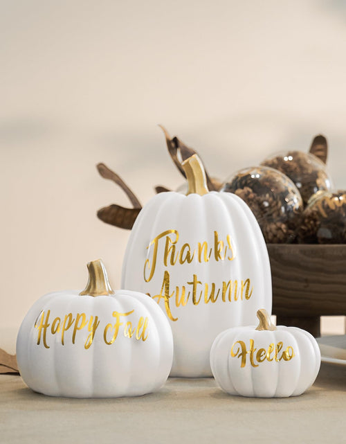 Load image into Gallery viewer, DN DECONATION 3 Pc Fall Pumpkin Decorations White Brown Black Resin Figurines
