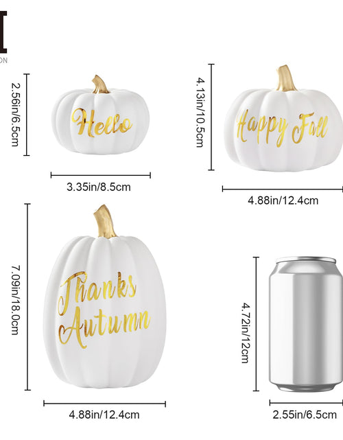 Load image into Gallery viewer, DN DECONATION 3 Pc Fall Pumpkin Decorations White Brown Black Resin Figurines
