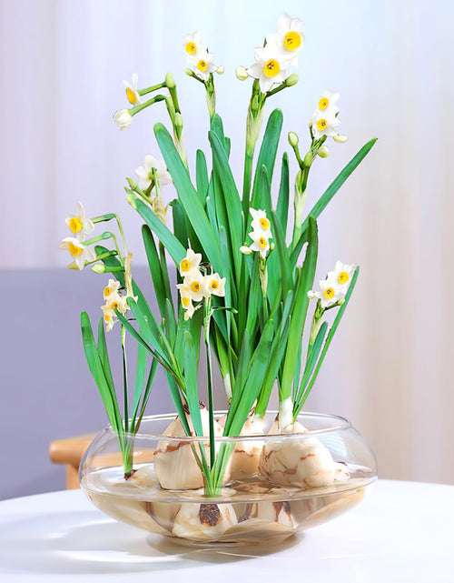 Load image into Gallery viewer, BESPORTBLE Transparent Desktop Aquarium Tank 9.52x9.52x3.93in 2800ml Plastic

