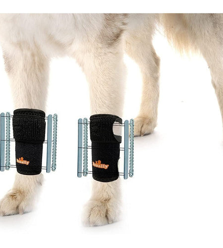 NeoAlly 3-in-1 Front Leg Dog Splint Brace: Rigid & Spring Inserts, Safety Reflective Straps (Pair)
