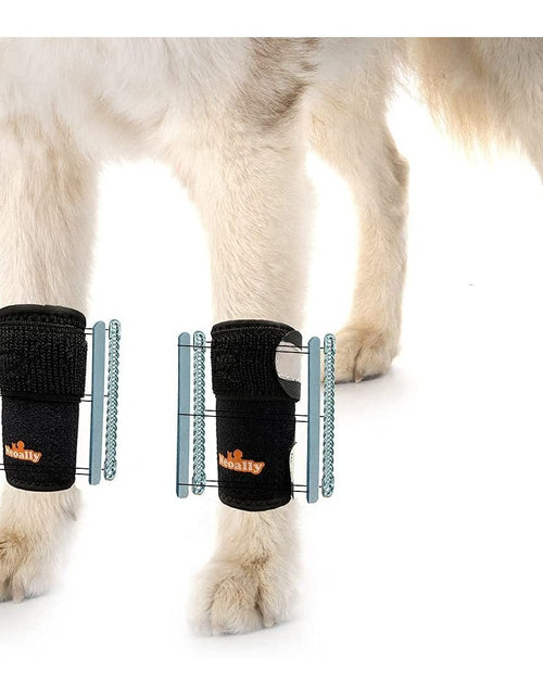 Load image into Gallery viewer, NeoAlly 3-in-1 Front Leg Dog Splint Brace: Rigid &amp; Spring Inserts, Safety Reflective Straps (Pair)
